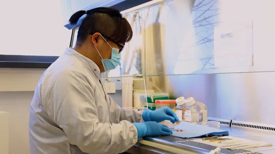 Visualizing Scar Development Using SCAD Assay - An Ex-situ Skin Scarring Assay