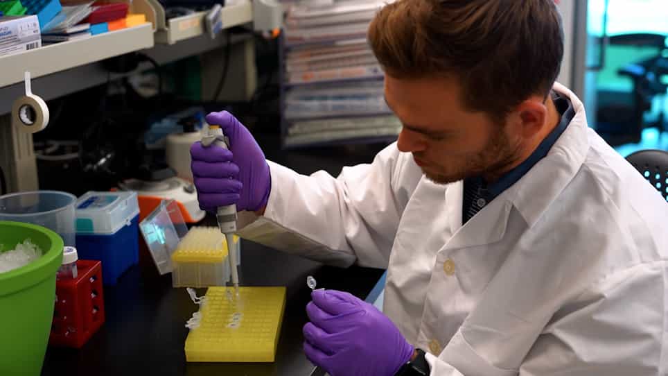 Measurement of Protein Turnover Rates in Senescent and Non-Dividing Cultured Cells with Metabolic Labeling and Mass Spectrometry