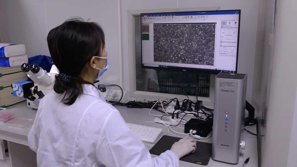 Mosquito-Associated Virus Isolation from Field-Collected Mosquitoes