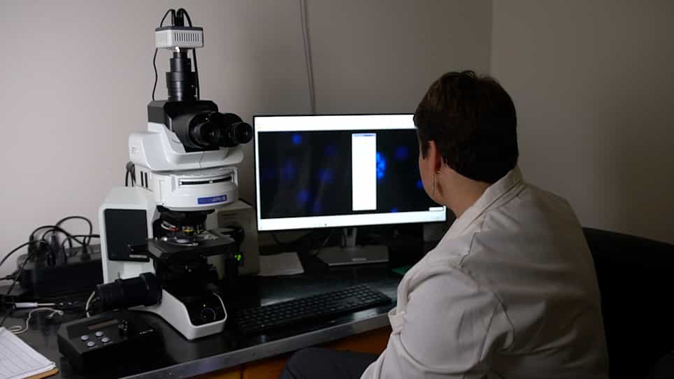 In Vitro Apical-Out Enteroid Model of Necrotizing Enterocolitis