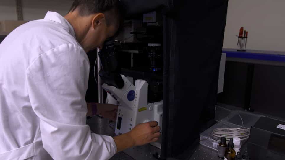 Coherent Anti-Stokes Raman Spectroscopy CARS Application for Imaging Myelination in Brain Slices
