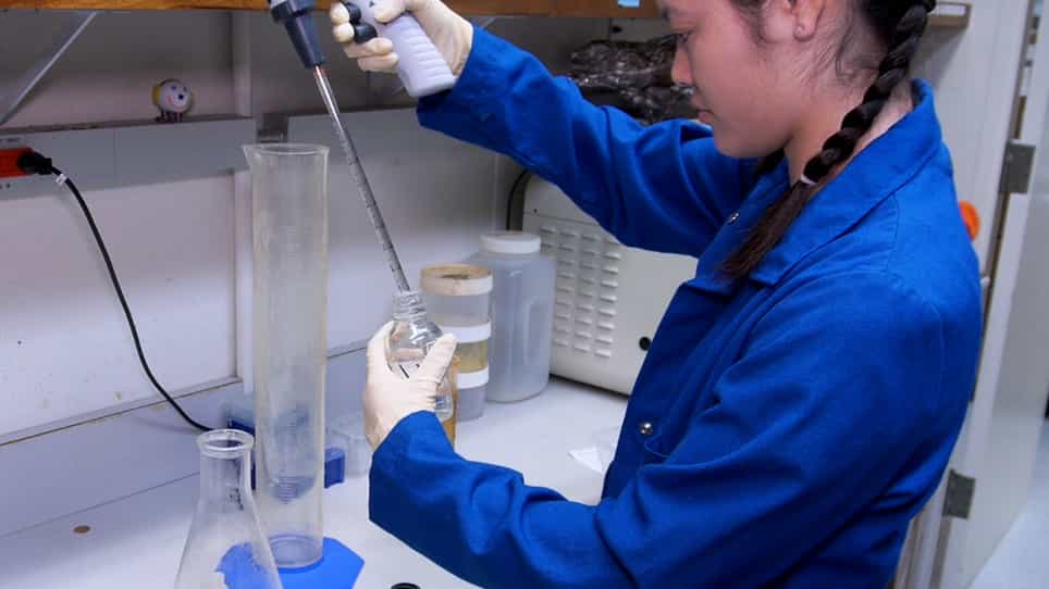 Large-Scale Gravitaxis Assay of Caenorhabditis Dauer Larvae