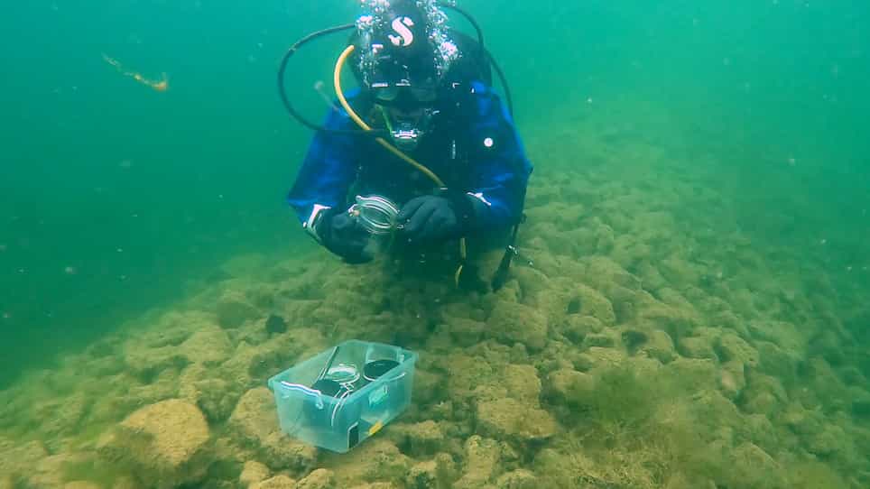 A Low-Cost Method of Measuring the In Situ Primary Productivity of Periphyton Communities of Lentic Waters