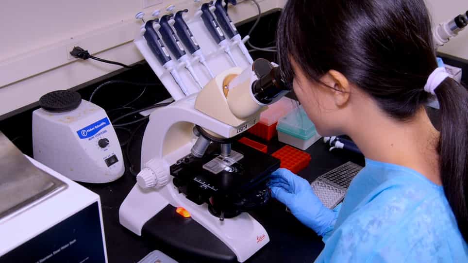 Experimental Melanoma Immunotherapy Model Using Tumor Vaccination with a Hematopoietic Cytokine