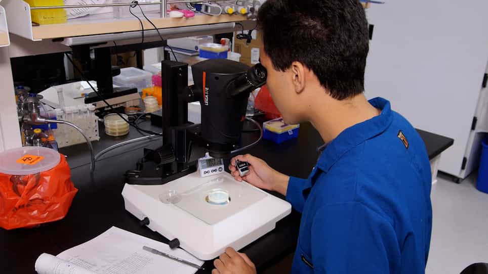 Surveying Low-Cost Methods to Measure Lifespan and Healthspan in Caenorhabditis elegans