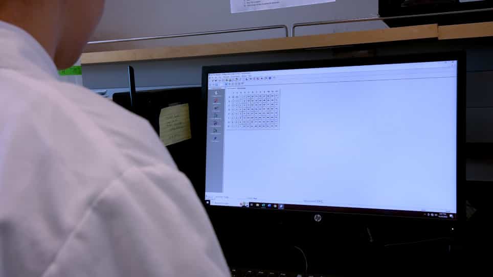 Generating a Reproducible Model of Mid-Gestational Maternal Immune Activation using PolyI:C to Study Susceptibility and Resilience in Offspring