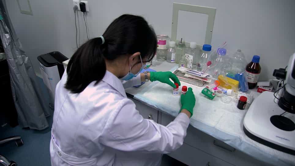In Vivo Vascular Permeability Detection in Mouse Submandibular Gland