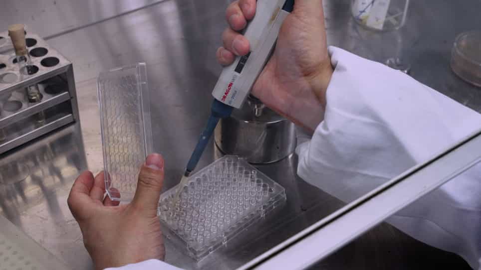 A Sensitive Visual Method for the Detection of Hydrogen Sulfide Producing Bacteria