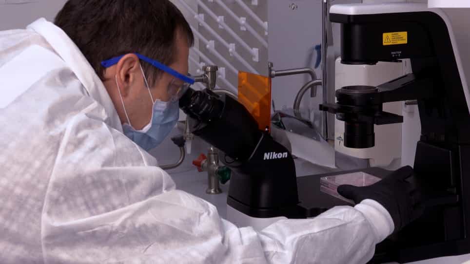 Assessment of Intestinal Transcytosis of Neonatal Escherichia coli Bacteremia Isolates