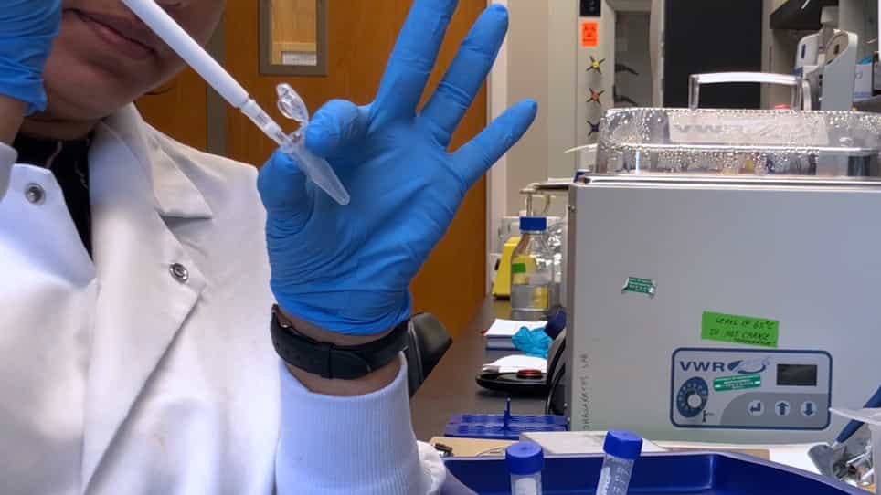 ATAC-Seq Optimization for Cancer Epigenetics Research