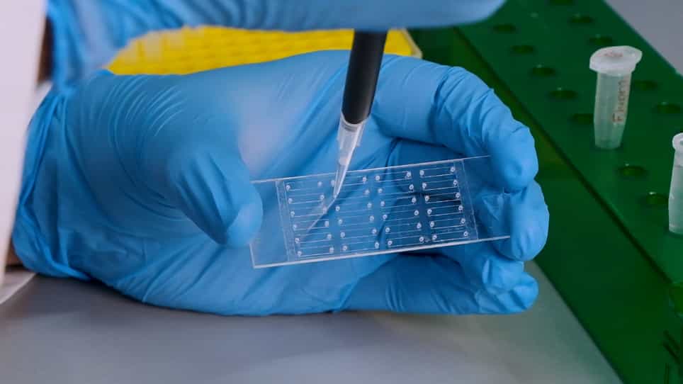 Single-Molecule Diffusion and Assembly on Polymer-Crowded Lipid Membranes