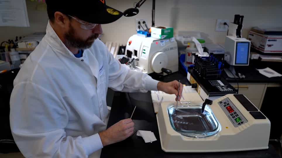 Standardized Processing for Formalin-Fixed, Paraffin-Embedded Cell Pellet Immunohistochemistry Controls
