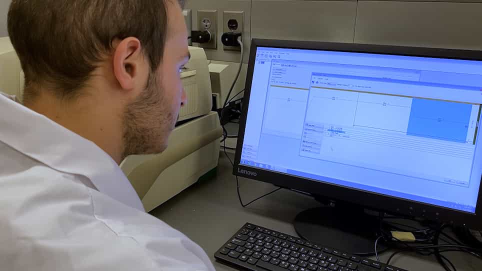 Isolation and Quantification of Epstein-Barr Virus from the P3HR1 Cell Line