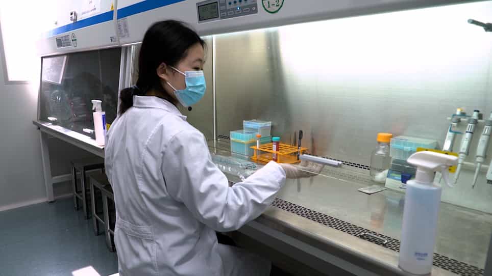 In Vitro Cellular Activity Evaluation of the Nanoemulsion Vaccine Adjuvant Ophiopogonin D