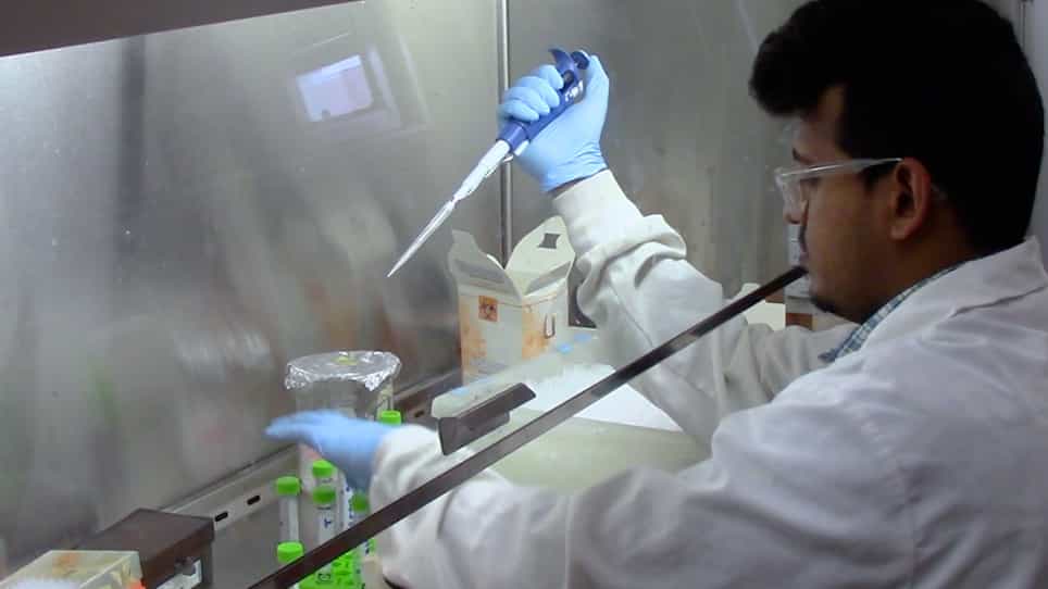 Deciphering the Molecular Mechanism and Function of Pore-Forming Toxins Using Leishmania major