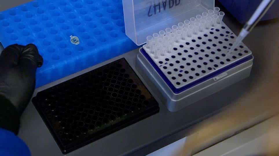 Determination of In Vitro and Cellular Turn-on Kinetics for Fluorogenic RNA Aptamers