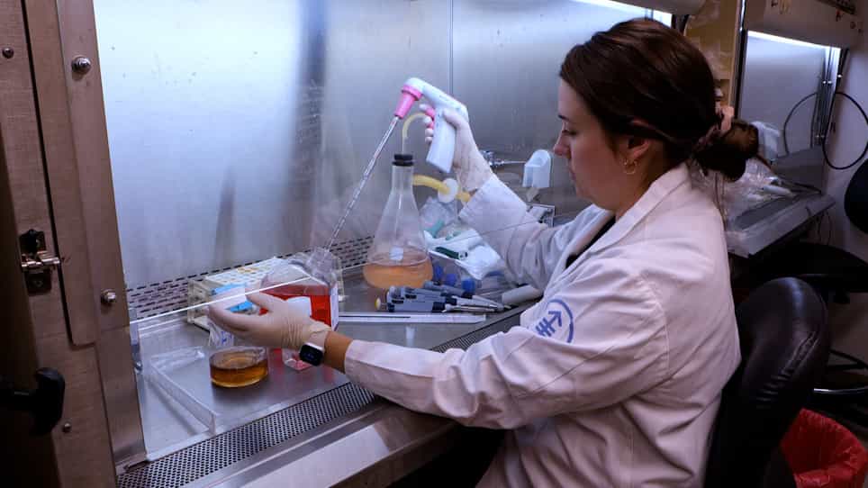 Tracking Bispecific Antibody-Induced T Cell Trafficking Using Luciferase-Transduced Human T Cells