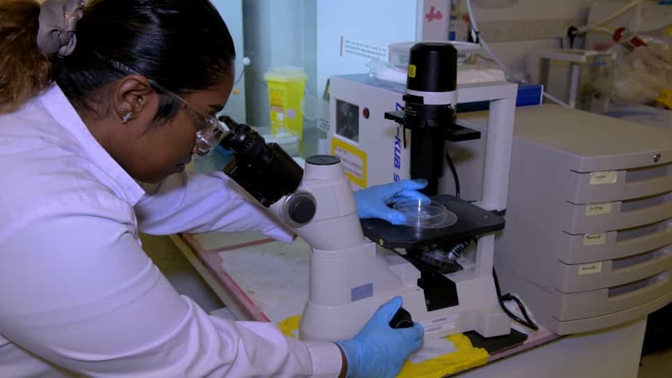 A High-Throughput Platform for Culture and 3D Imaging of Organoids