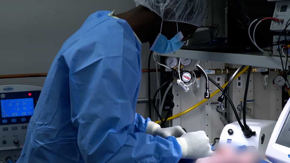 Transdermal Measurement of Glomerular Filtration Rate in Mechanically Ventilated Piglets