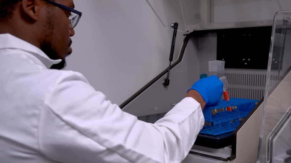 Quantifying the Antifungal Activity of Peptides Against Candida albicans