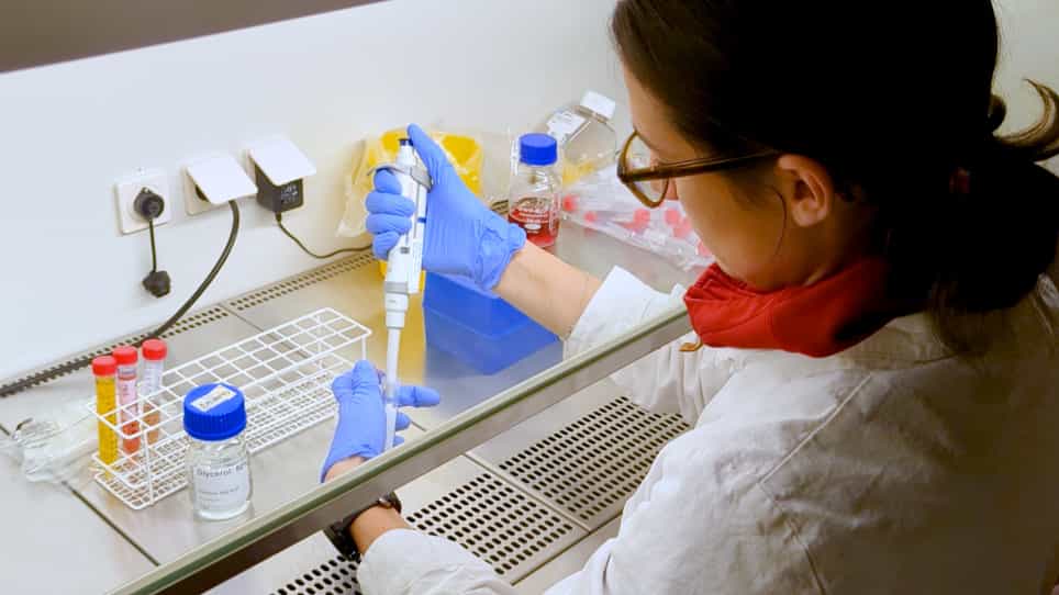 Cultivation Methods of Spirochetes from Borrelia burgdorferi Sensu Lato Complex and Relapsing Fever Borrelia