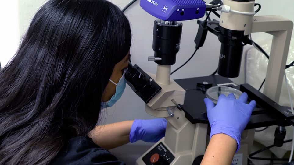 Lumican Extraction from Amniotic Membrane and Determination of its Storage Temperature