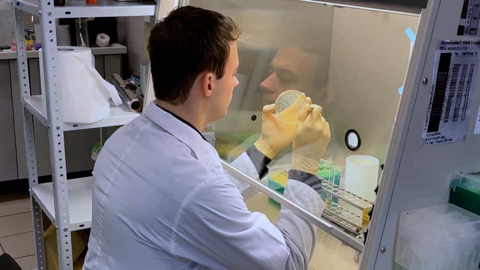 Pulldown Assay Coupled with Co-Expression in Bacteria Cells as a Time-Efficient Tool for Testing Challenging Protein-Protein Interactions