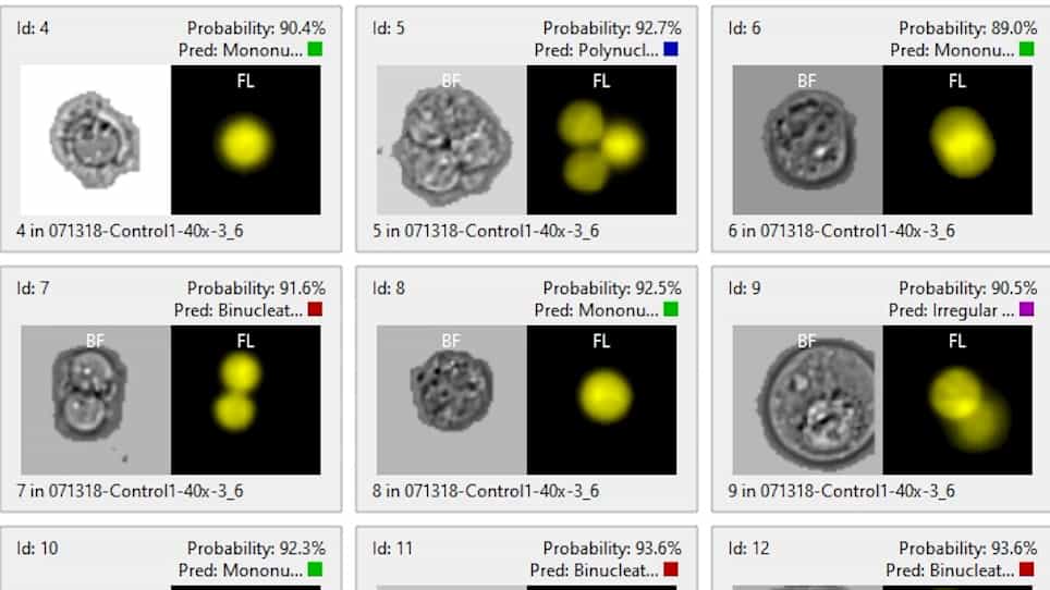 Automation of the Micronucleus Assay Using Imaging Flow Cytometry and Artificial Intelligence