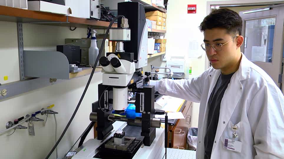 A Pipeline to Characterize Structural Heart Defects in the Fetal Mouse