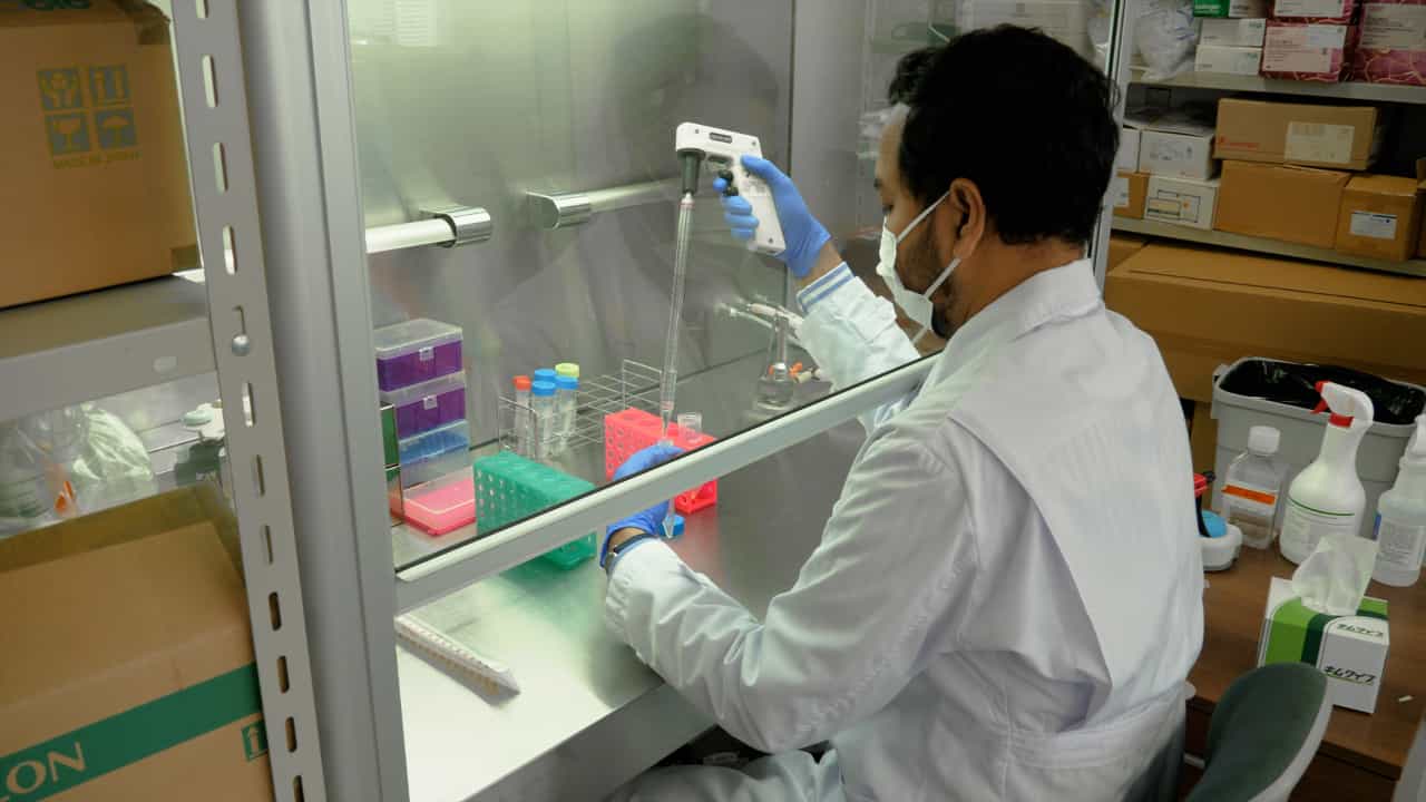 Quantifying Myeloperoxidase-DNA and Neutrophil Elastase-DNA Complexes from Neutrophil Extracellular Traps by Using a Modified Sandwich ELISA