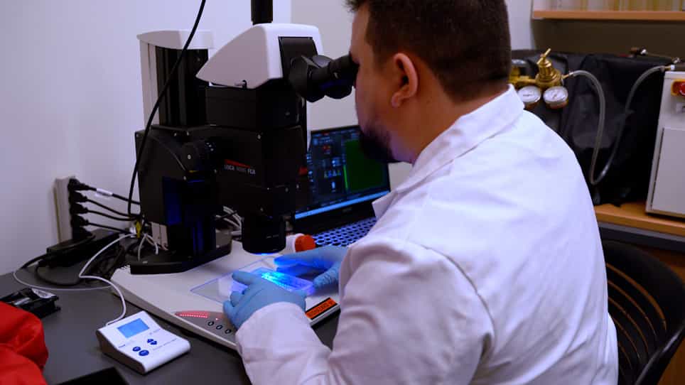Long-Term Culture of Individual Caenorhabditis elegans on Solid Media for Longitudinal Fluorescence Monitoring and Aversive Interventions