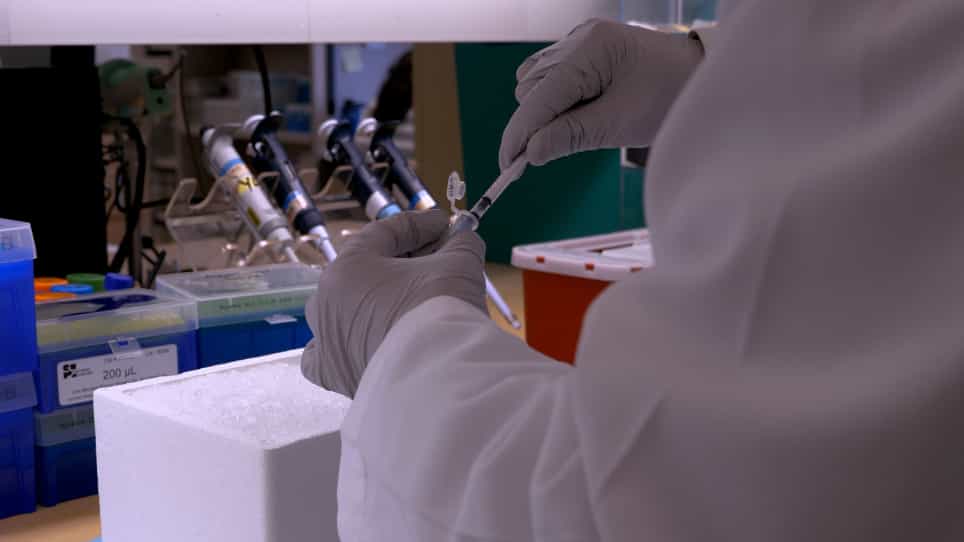 In Vivo Gene Delivery into Mouse Mammary Epithelial Cells Through Mammary Intraductal Injection