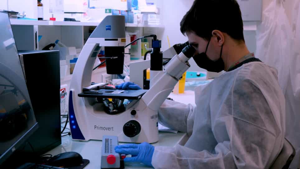 A Human Bone Marrow 3D Model to Investigate the Dynamics and Interactions Between Resident Cells in Physiological or Tumoral Contexts