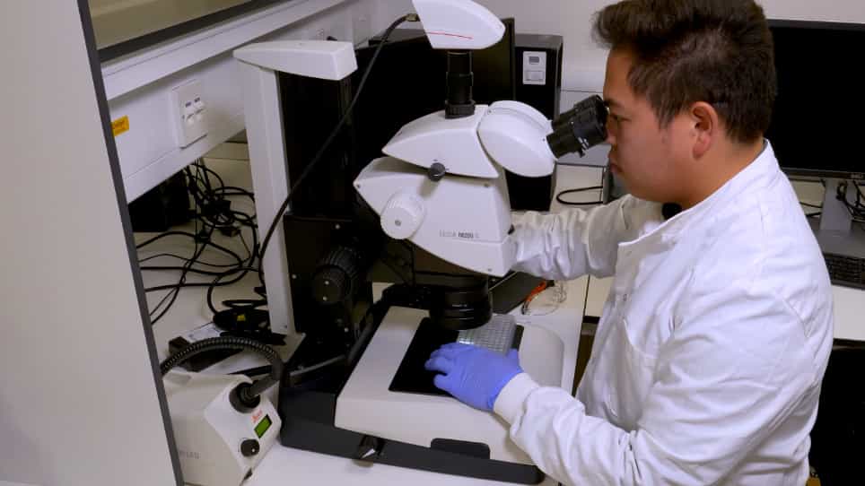 High-Throughput Protein Crystallization via Microdialysis