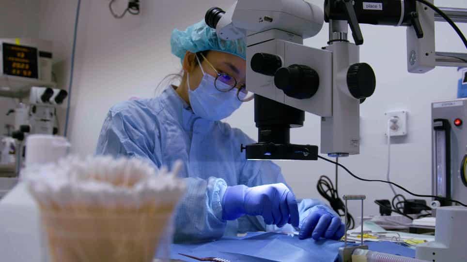 Surgical Approach, Challenges, and Resolutions for Uterus Transplantation in Rats