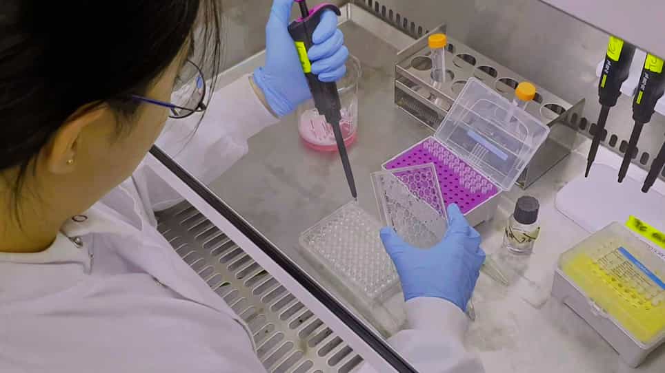Ex Vivo Expansion and Genetic Manipulation of Mouse Hematopoietic Stem Cells in Polyvinyl Alcohol-Based Cultures