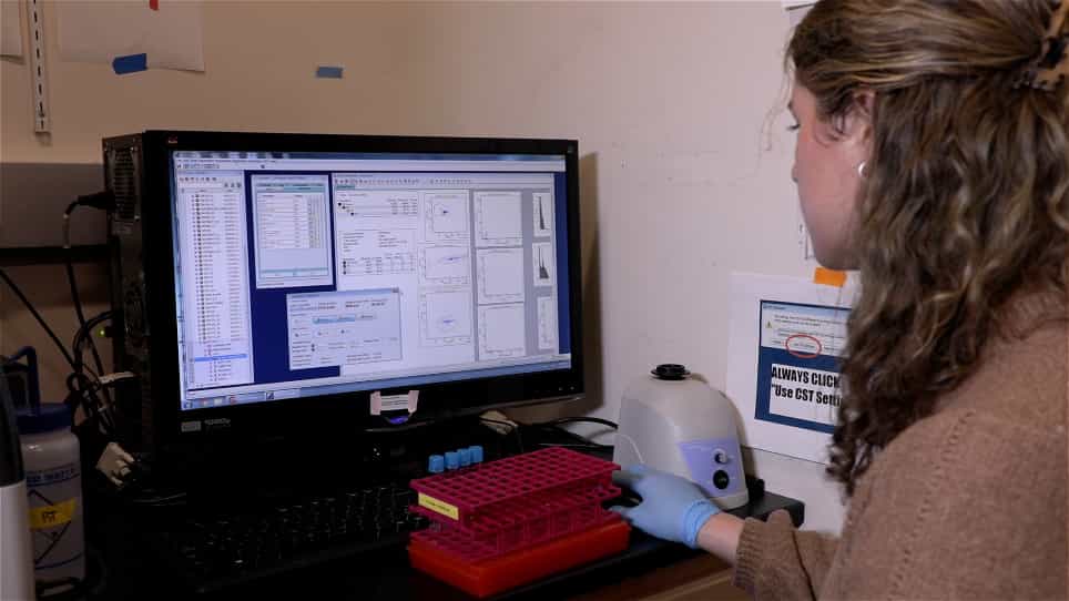 Rapid Development of Cell State Identification Circuits with Poly-Transfection