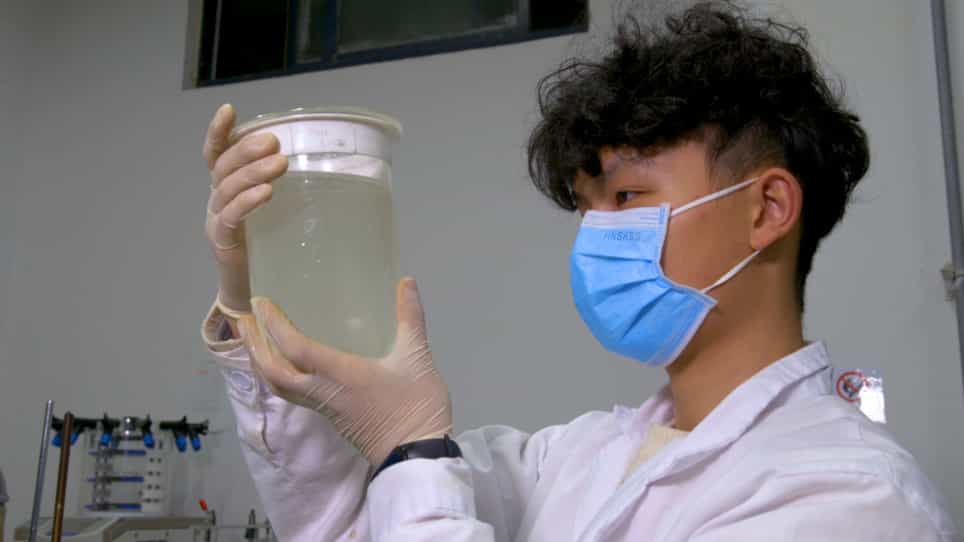 Formation of Dispersible Taohong Siwu Tablets