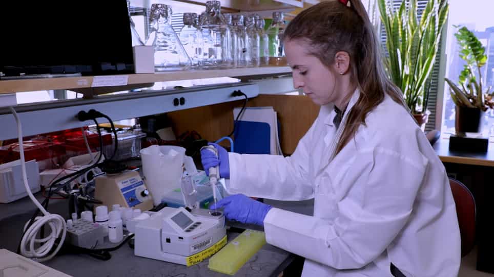 Probing RNA Structure with Dimethyl Sulfate Mutational Profiling with Sequencing In Vitro and in Cells