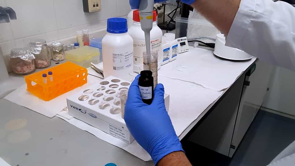 Analysis of Organochlorine Pesticides in a Soil Sample by a Modified QuEChERS Approach Using Ammonium Formate