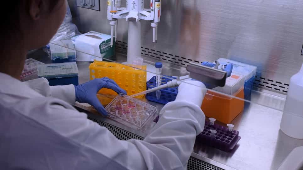 Demonstration of the DNA Fiber Assay for Investigating DNA Damage and Repair Dynamics Induced by Nanoparticles