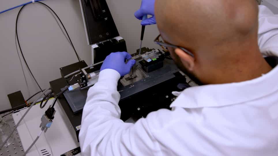 Measuring Local Tissue Strains in Tendons via Open-Source Digital Image Correlation
