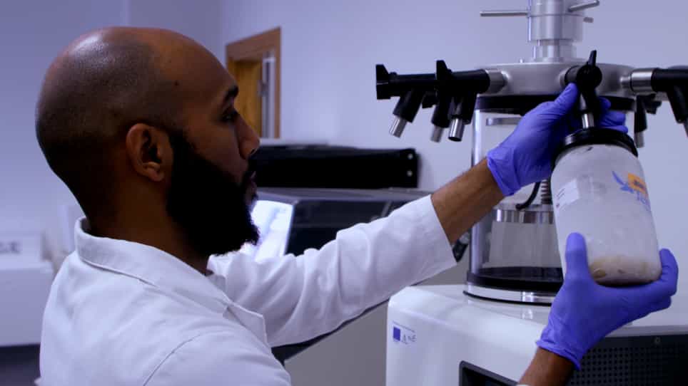 Isolation and Purification of Fungal β-Glucan as an Immunotherapy Strategy for Glioblastoma
