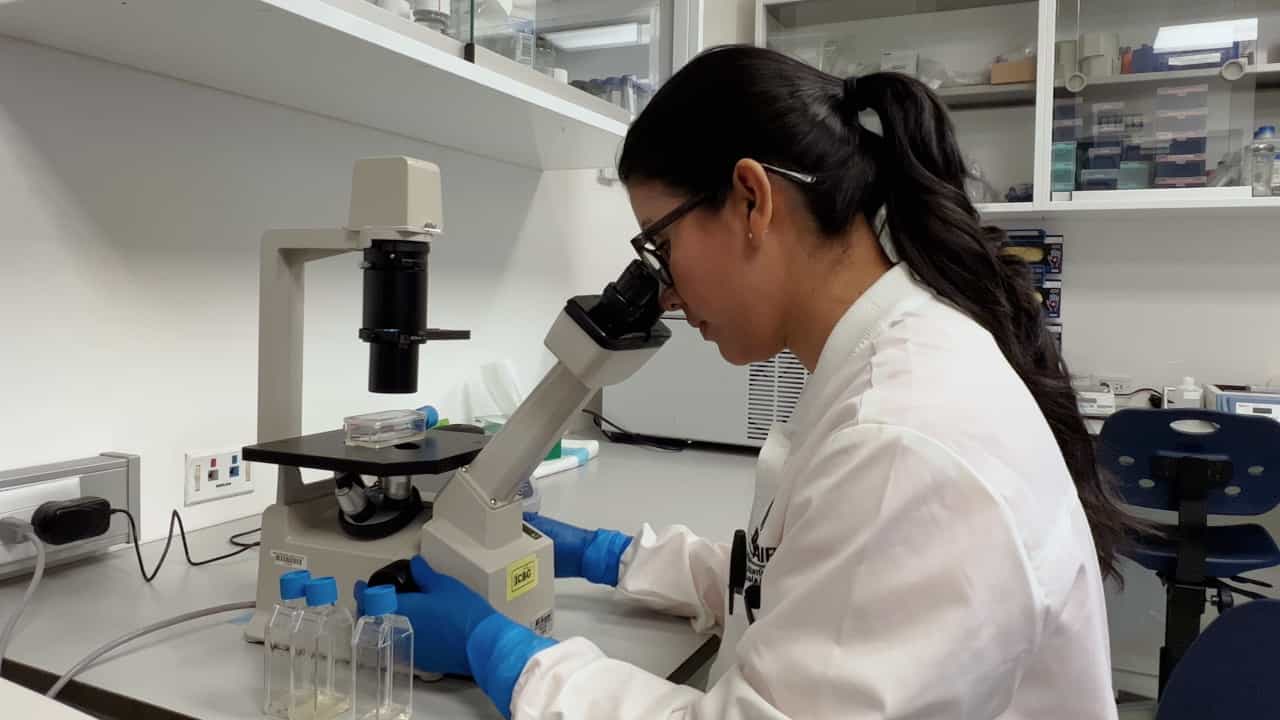 Development of Leishmania Species Strains with Constitutive Expression of eGFP
