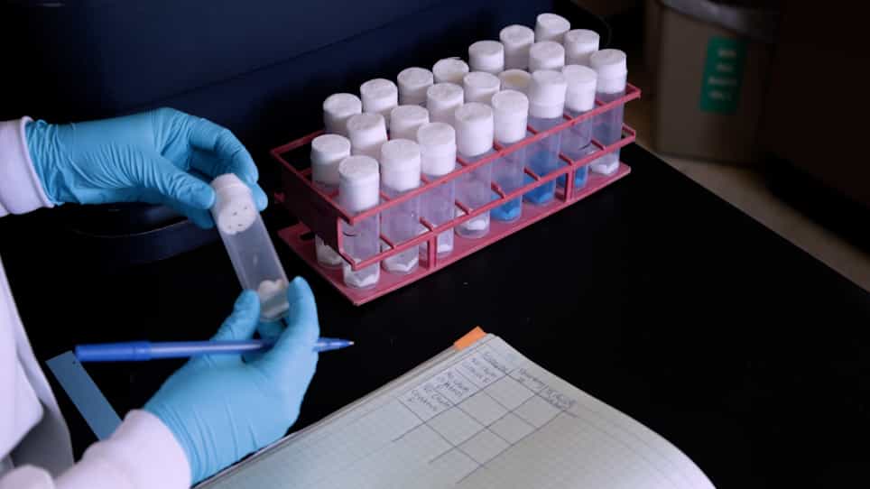 Assessment of Chemical Toxicity in Adult Drosophila Melanogaster