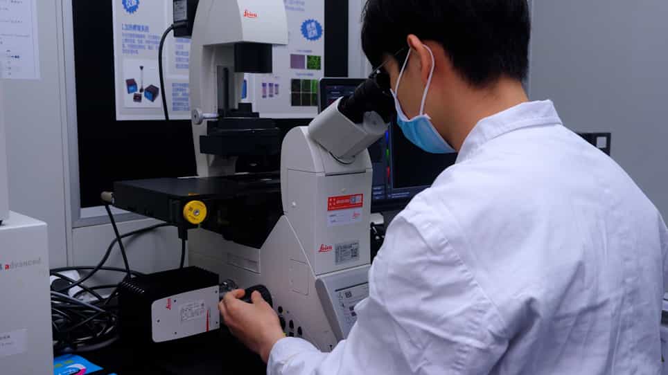 A Mouse Model of Chronic Liver Fibrosis for the Study of Biliary Atresia