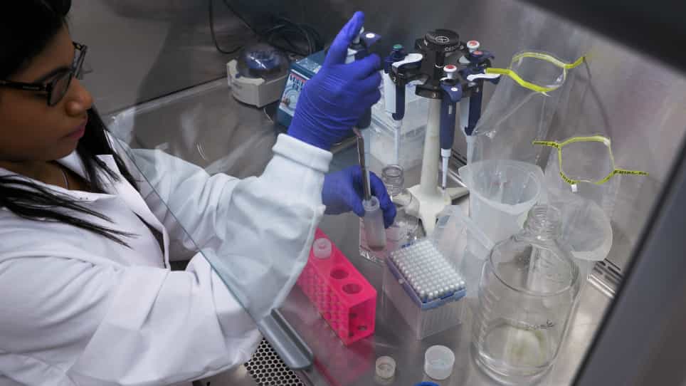 Concentration of Virus Particles from Environmental Water and Wastewater Samples Using Skimmed Milk Flocculation and Ultrafiltration