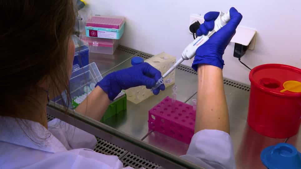 Isolation of Low Endotoxin Content Extracellular Vesicles Derived from Cancer Cell Lines