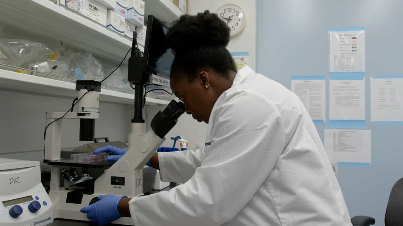 Ovarian Cancer Patient-Derived Organoid Models for Pre-Clinical Drug Testing