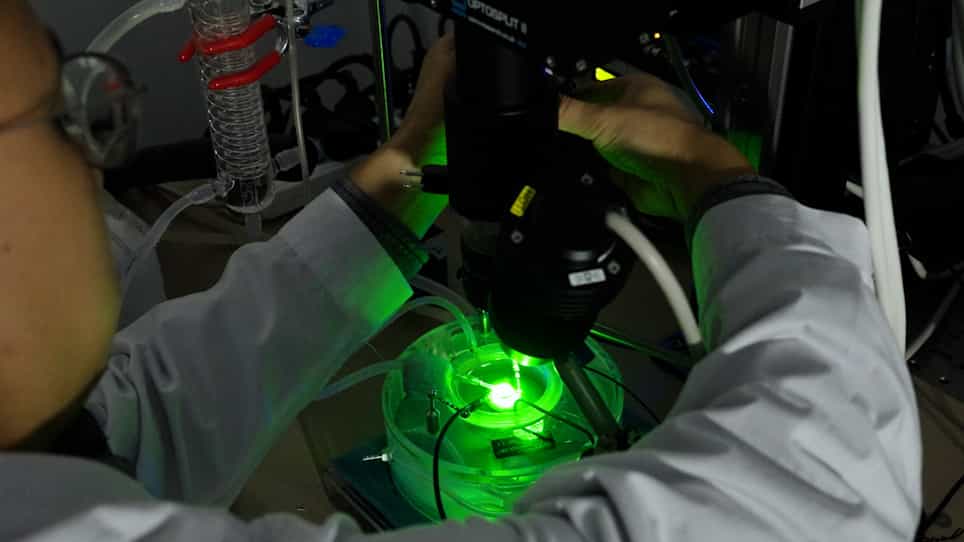 Dual-Dye Optical Mapping of Hearts from RyR2R2474S Knock-In Mice of Catecholaminergic Polymorphic Ventricular Tachycardia